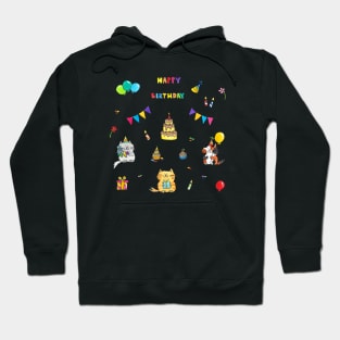 Happy Birthday Cat Hoodie